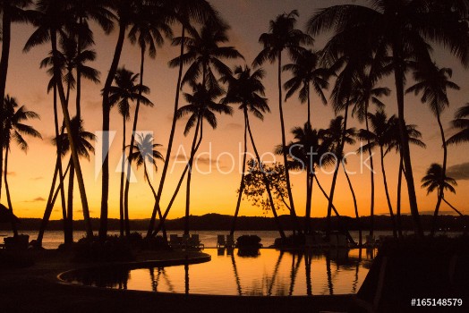 Picture of Sunset with palm tree silhouettes in Fiji